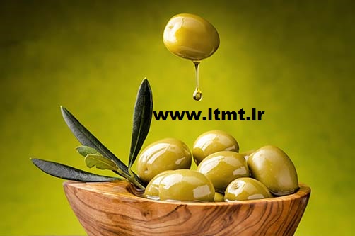 خواص زیتون در طب سنتی Olive Properties Traditional medicine 