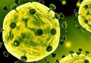 کرونا ویروس چیست؟ پیشگیری و درمان ویروس کرونا